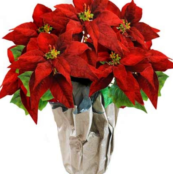 What If We All Shop Poshmark for Christmas?! - Picture 2 of 5